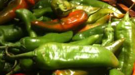 hatch chilies